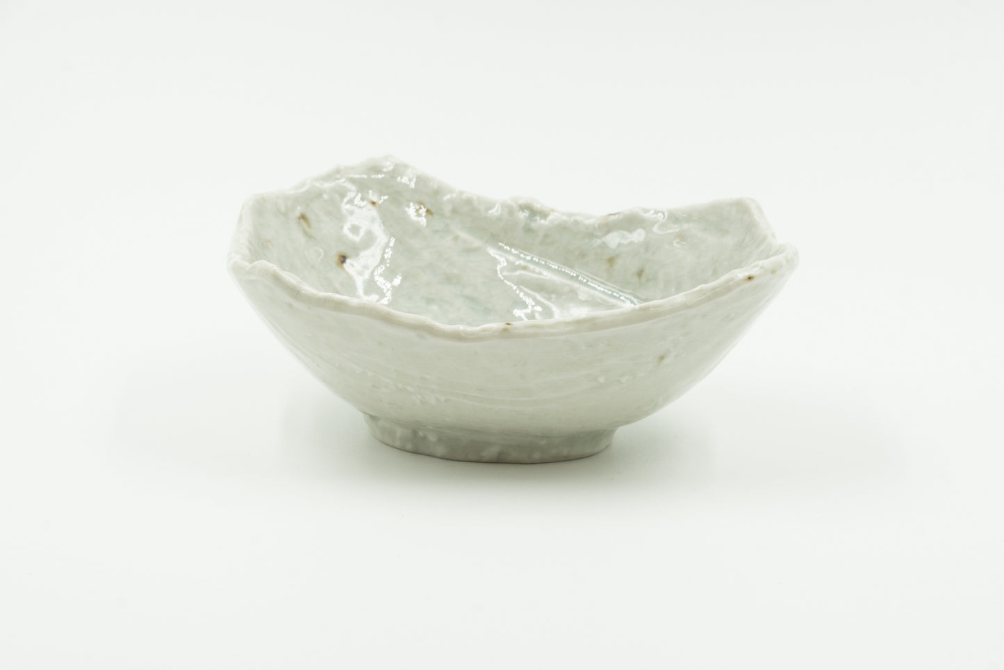 Shallow Bowl / 255003